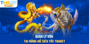 Quản lý vốn tại Rồng Hổ Siêu Tốc THABET