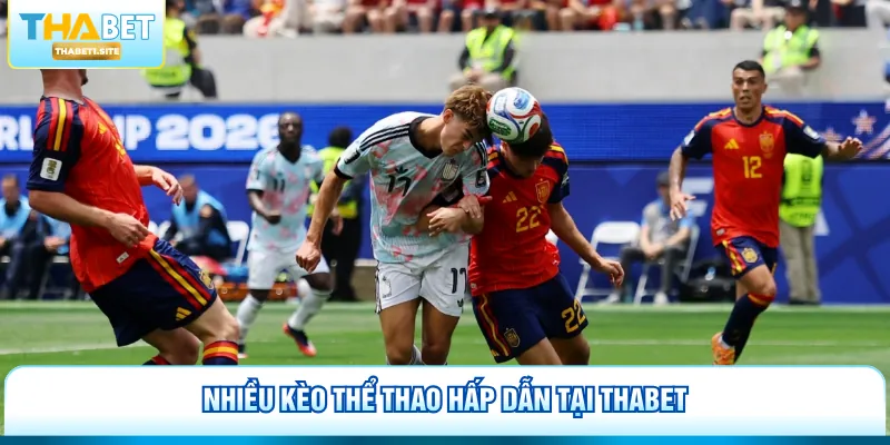 Tây Ban Nha Đấu Với Bỉ - Đỉnh Cao Cá Cược Tại Thabet 3 Nhiều kèo thể thao hấp dẫn tại Thabet