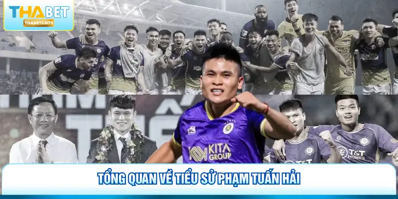 Tổng quan về tiểu sử Phạm Tuấn Hải