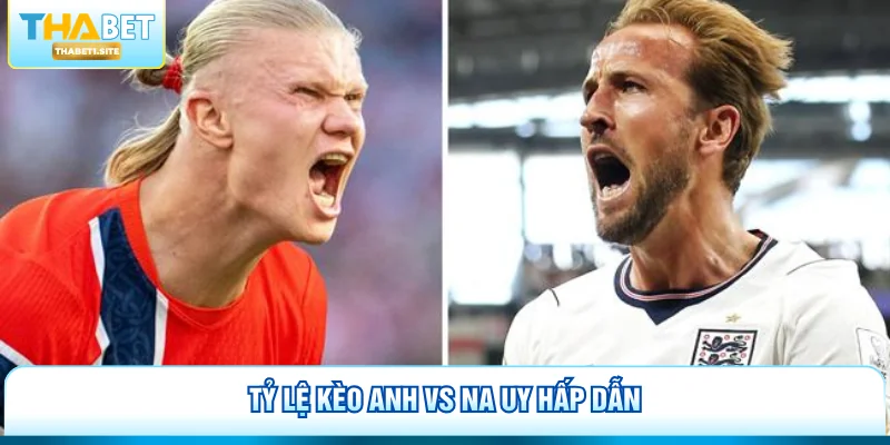 Anh vs Na Uy - Dự Đoán Kèo Tứ Kết Siêu Hot Tại Thabet 3 Tỷ lệ kèo Anh vs Na Uy hấp dẫn